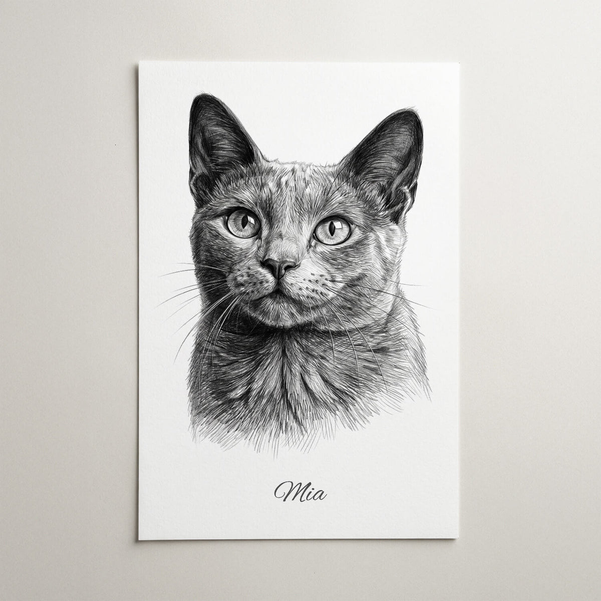 Kattporträtt i blyertsstil från ditt foto - poster