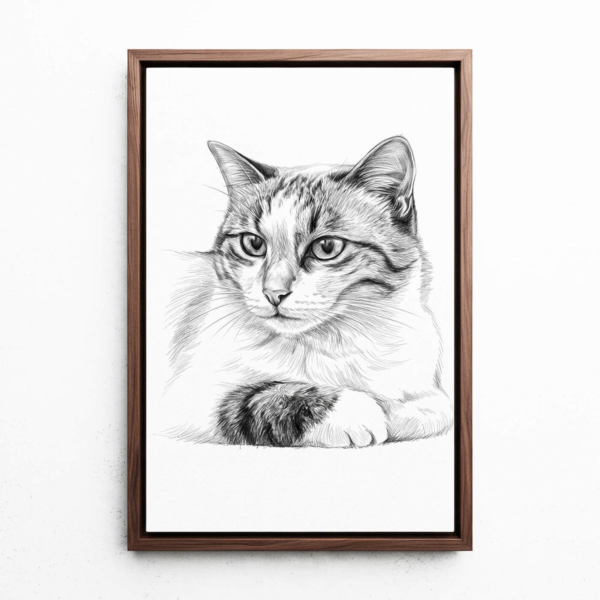 Kattporträtt i blyertsstil från ditt foto - canvas med valnötsram