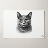 frame-mockup-5-schwarz-quer