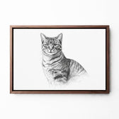 katzenportrait-leinwand-rahmen-walnuss