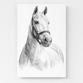 katzenportrait-leinwand-personalisiert-2